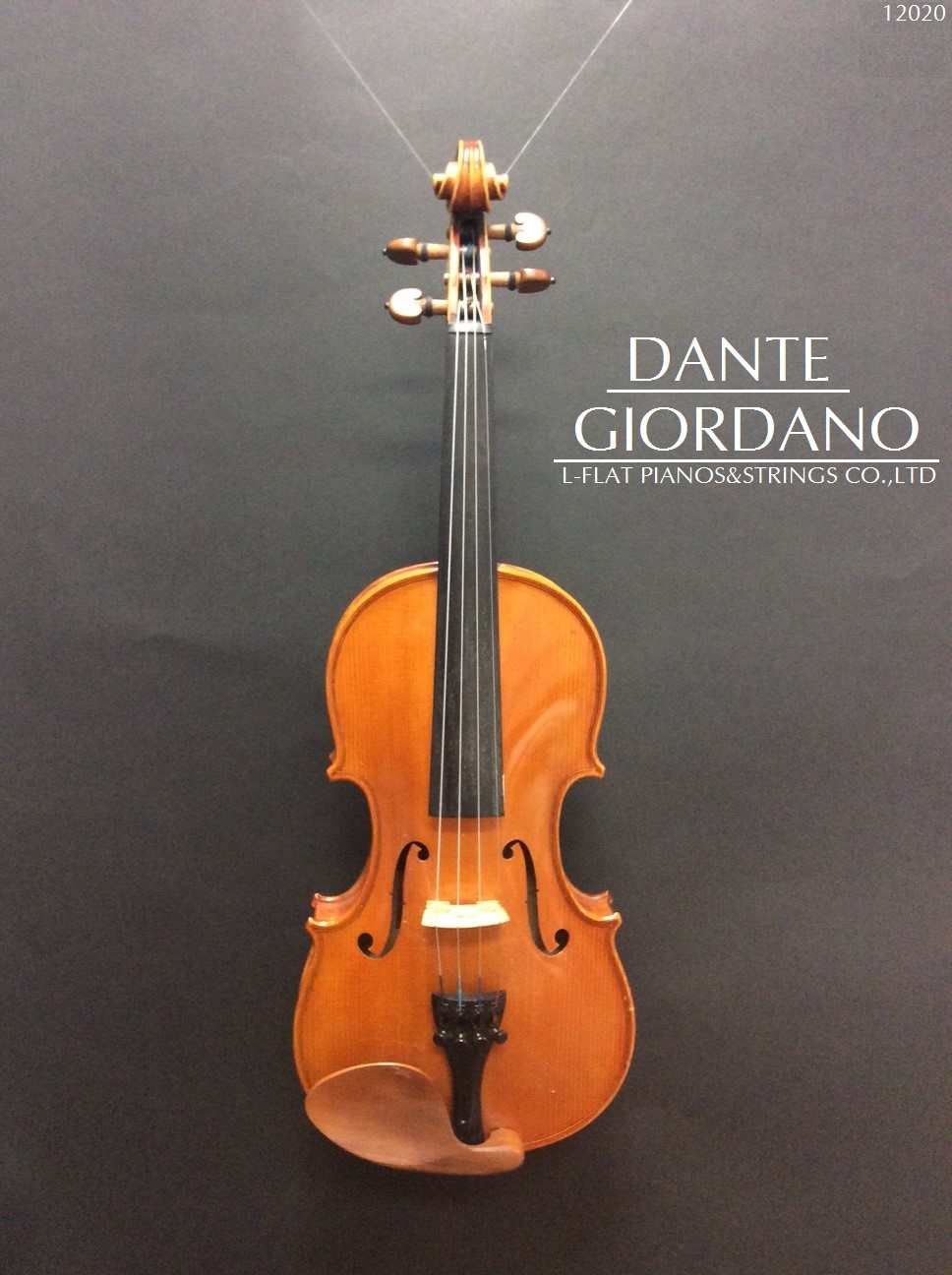 中古バイオリン　DANTE GIORDANO　1/2サイズ