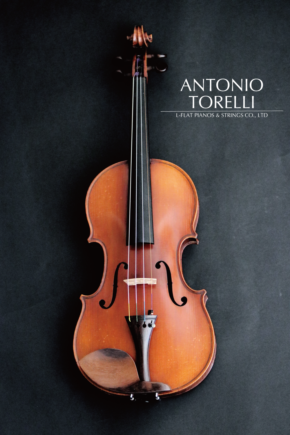 フランス製　オールドバイオリン　ANTONIO TRELLI　4/4