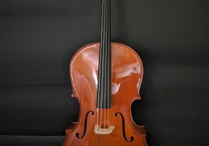 C34009