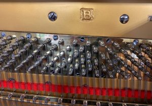 EASTEIN B bl
