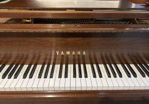 G1B 0530