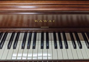Ki65 247
