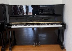MC10BL-1