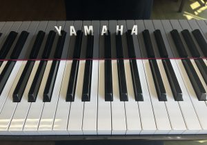 N1X