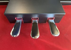 N1X