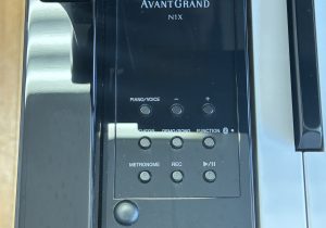 N1X