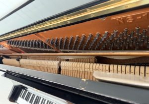 NS15