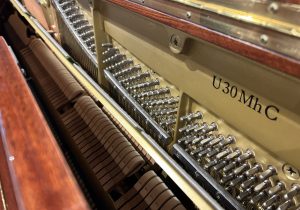 U30MhC0909