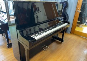 UX30BL